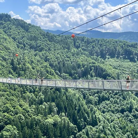 Prázdninový dům Haus Am Waldrand Todtmoos