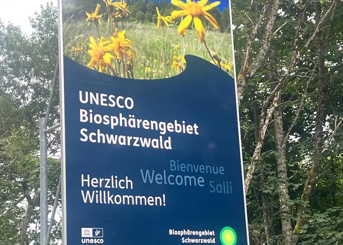 Haus Am Waldrand Casa vacanze Todtmoos