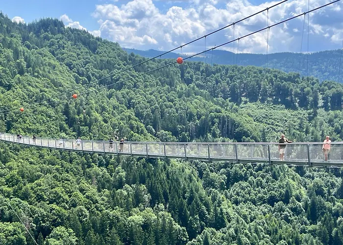 Prázdninový dům Haus Am Waldrand Todtmoos