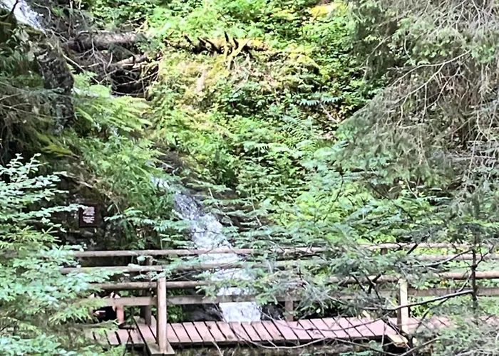 Haus Am Waldrand * Todtmoos