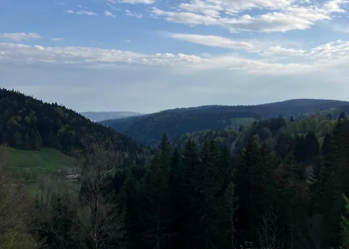 Prázdninový dům Haus Am Waldrand Todtmoos